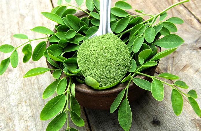 moringa